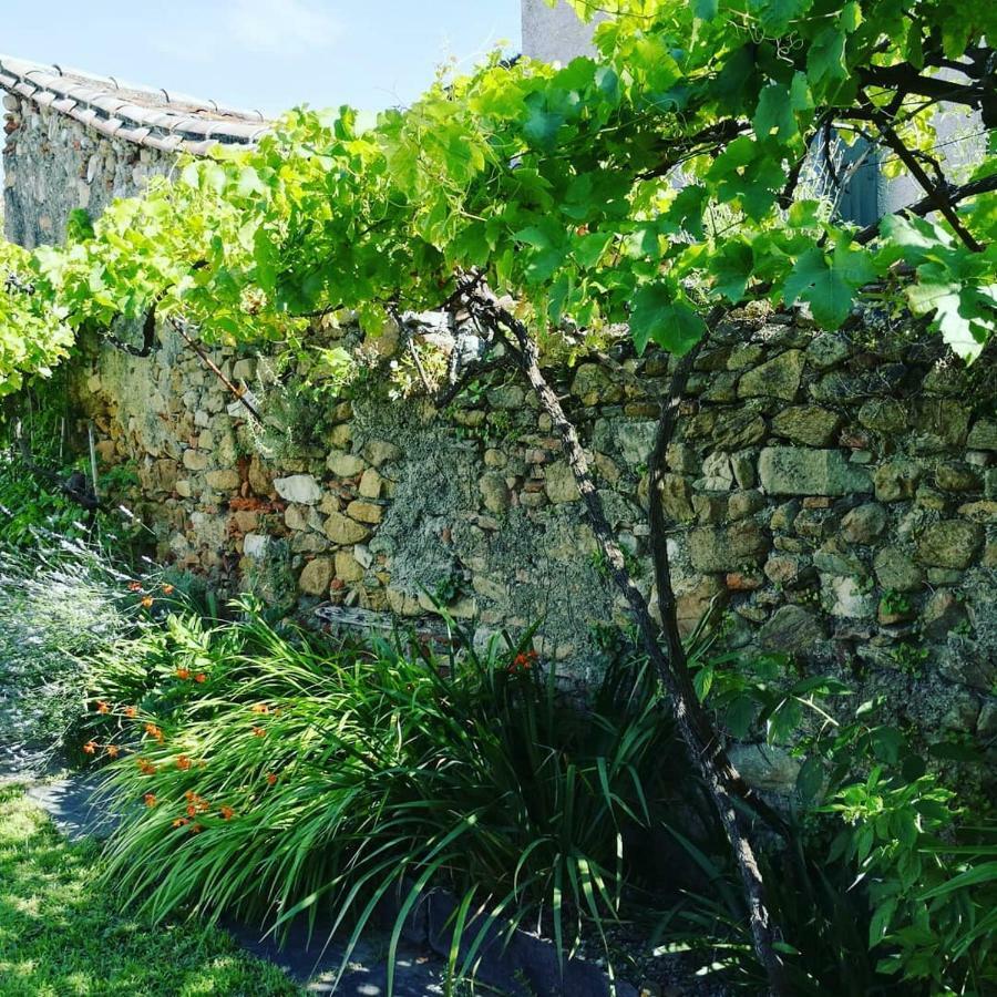 Gîte Maison de l'Abbé Sorèze Esterno foto